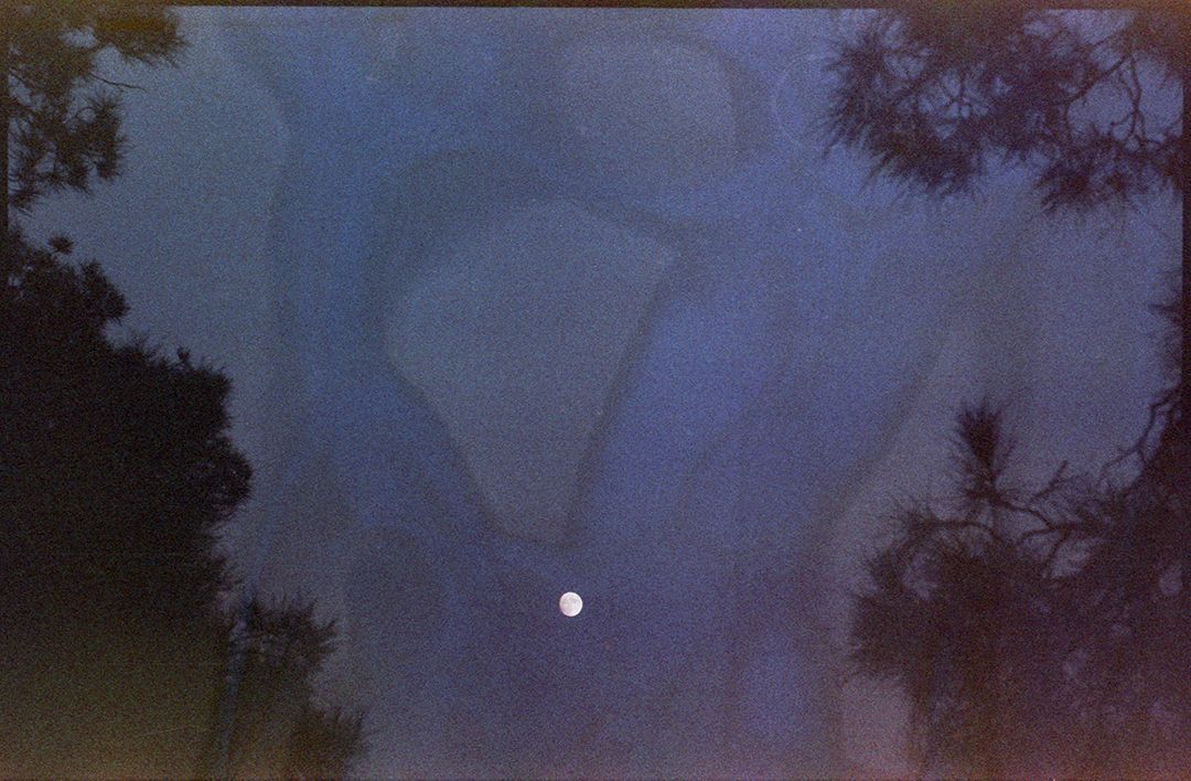 3051_vista_yashica008_1080
