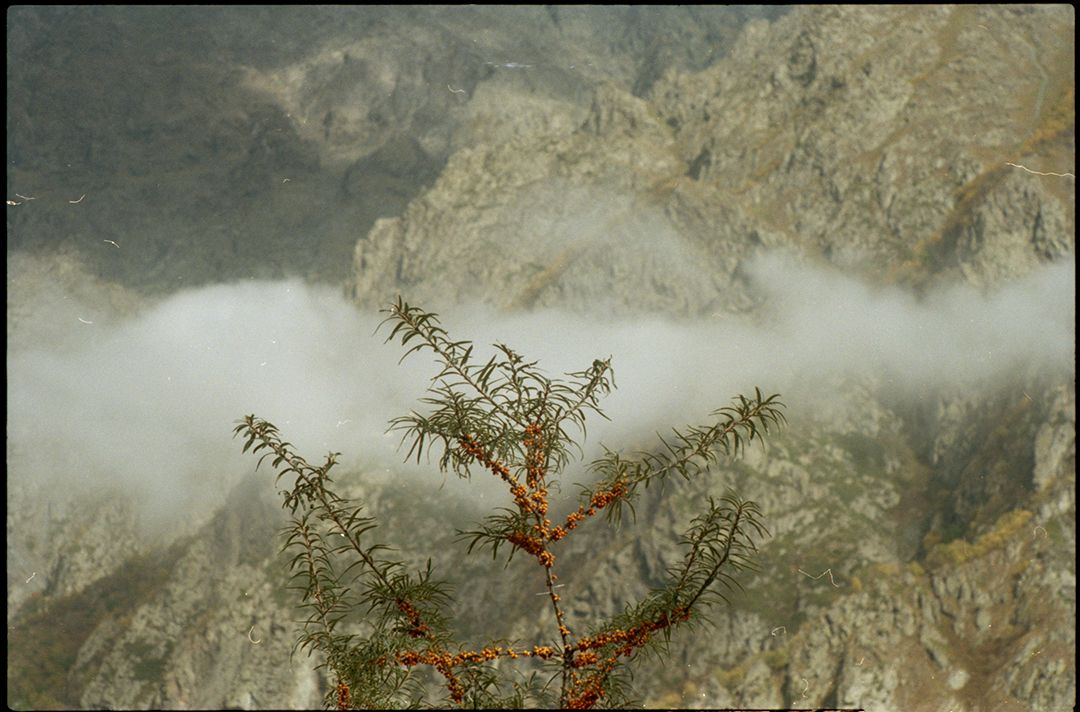 3054_proimagedi034_1080